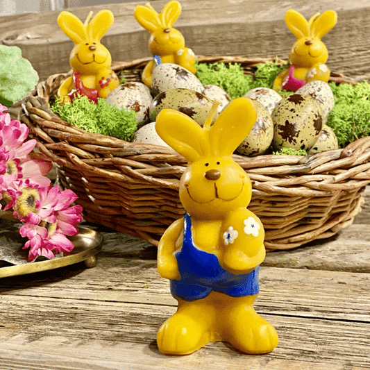 Zajko v nohaviciach s vajíčkom